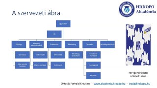 Szervezetfejlesztés és munkafolyamatok